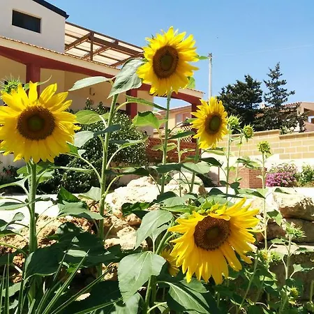 Apartment La Casa Dei Girasoli *